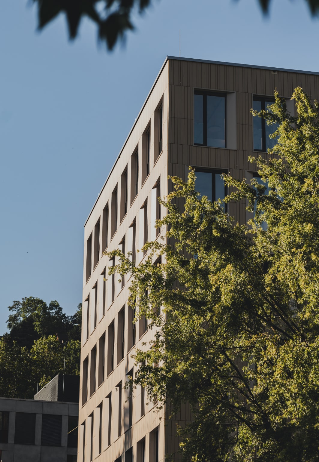 Фасад по желанию Деревянный каркас